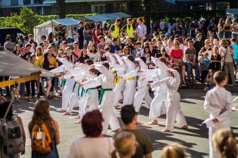 schulfest_taekwando